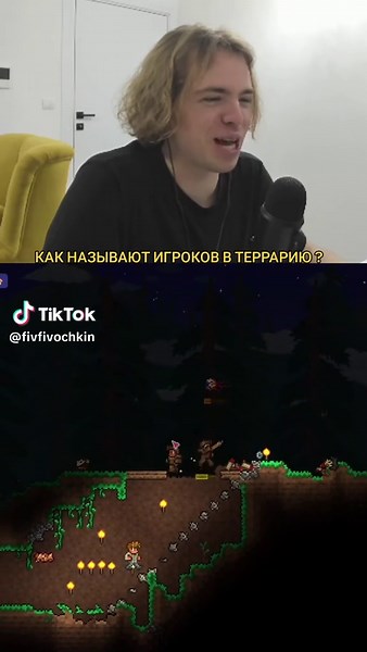 Discovering Terraria Player Nicknames