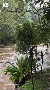 Tynni Lang took this video of Obi Obi creek, raging at Maleny. | ABC Sunshine Coast