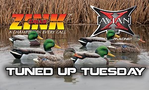 62K views · 541 reactions | Avian X on Reels | Facebook