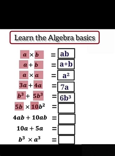 Algebra basics today, math confidence tomorrow! #MathLearning#Education #StudentLife#StudyMotivation