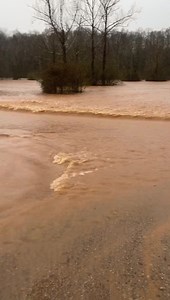 Creasy patch rd. Alto Ga | Habersham County Sheriff’s Office