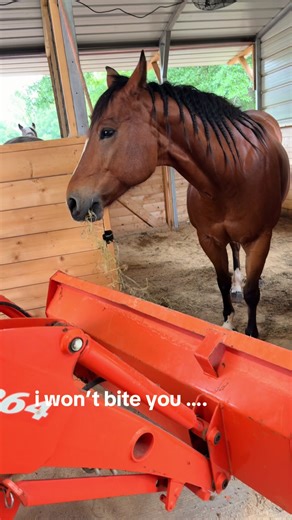 cc ☆ (@carissaricee)’s video of You Can Take A Small Bite