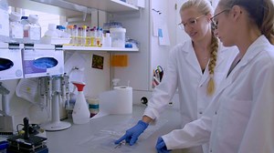 OnePot PURE Cell-Free System