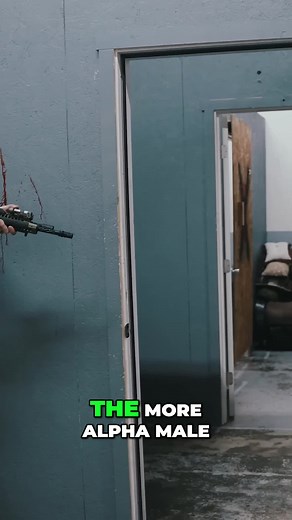 The Alpha Male Strategy: Mastering Situational Awareness in Room Clearing Learn the key tactics for room clearing and how to establish situational awareness. Discover how the alpha male approach can lead to successful operations. #AlphaMaleStrategy #RoomClearingTactics #SituationalAwareness #TacticalTraining #AlphaMaleSkills #RoomClearingTechniques #TacticalTips #MilitaryStrategies #SecurityOperations #AlphaMindset