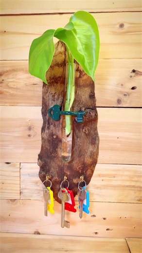 DIY Tree Trunk Key Holder and Plant Holder