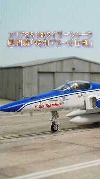 The Fighter Pilot of the Grim Reaper: Hasegawa 1/72 F-20 Tigershark [Area 88] #Area88 #ShinKazama...