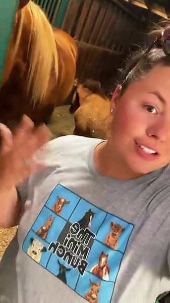 1.3M views · 47K reactions | The 2024 foal registered names! | Katie Van Slyke | Facebook