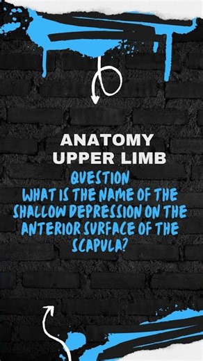 #medicaleducation#medicalschool#medicalstudent#USMLE#MCATprep#medicallectures