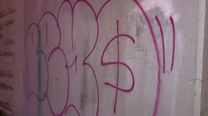 DC to remove graffiti, replace signs; complaint sent listing over 300 affected locations