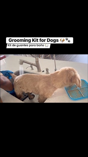 Grooming Gloves Kit 🧤🫧🫧🛁 | Target Pest Control, Pet Supplies & Garden Bonaire