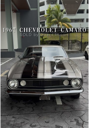 matthewmotors_ on TikTok