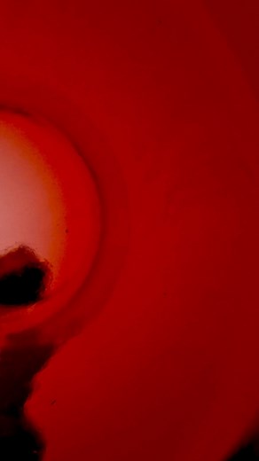 14K views · 38 reactions | Black Friday a început! | Produse Moldovenesti | Facebook