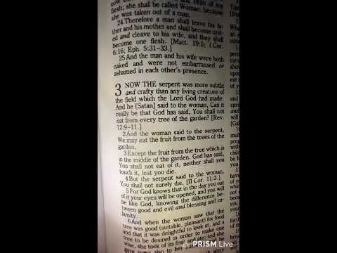 🌱asmr whisper Bible reading (Genesis 4-7)✨Amplified Version