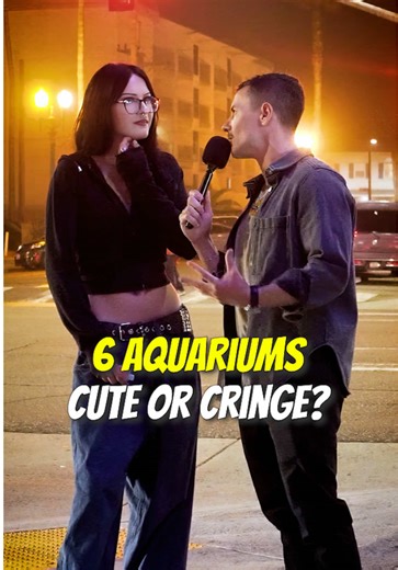 6 Aquariums: Cute or Cringe in Aquascaping?