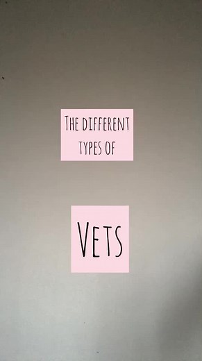 Different types of vets! Which type are you? #vet #vetlife #vetstudent #veterinary #vetmed #travellingvet #medvet