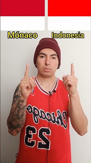 Identical Flags In Spanish! #spanishwithjuank #flag #country