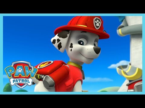 Paw Patrol - Tűzoltócsapat mentés | rajzfilmek gyerekeknek | WildBrain Gyerekek