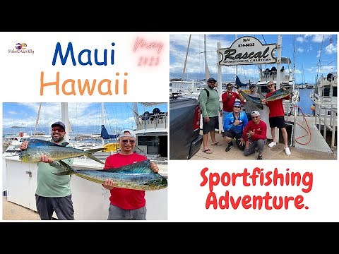 Sport fishing Adventure| Maui Hawaii| Mahi-mahi Fishing.