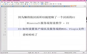 2-如何正确的设置MOD以及插件（Plugins）文件