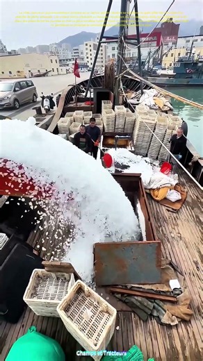 Glacier en cascade : le chargement de la glace de conservation avant la marée