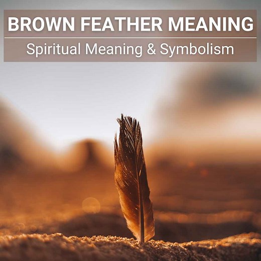 The Brown Feather Meaning: Spiritual Meaning & Symbolism