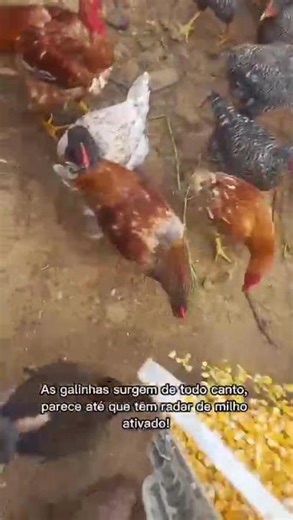 It hadn't even hit the ground and they were already there.