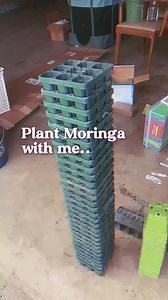 8.5K views · 115 reactions | It’s time to start your seeds for...