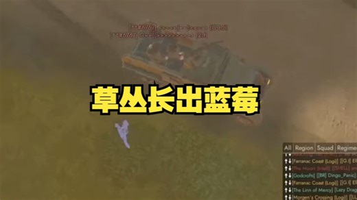 【散兵坑/foxhole】草丛惊喜