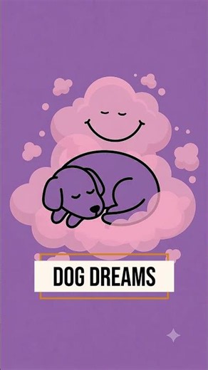 Do dogs actually dream about you? #shotrs