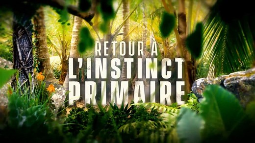 🚨 DIRECT 🚨 Une émission de survie pas comme les autres : Retour à l'Instinct Primaire. A suivre en direct sur #RMCDécouverte #InstinctPrimaire 📺 ➡ http://rmcdecouverte.com 📱 ➡ App Store https://goo.gl/etwUKV 📱 ➡ Google Play https://goo.gl/nUU3Mh | RMC Découverte