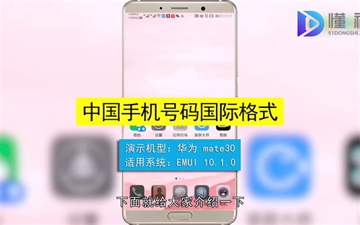 中国手机号码国际格式是什么？