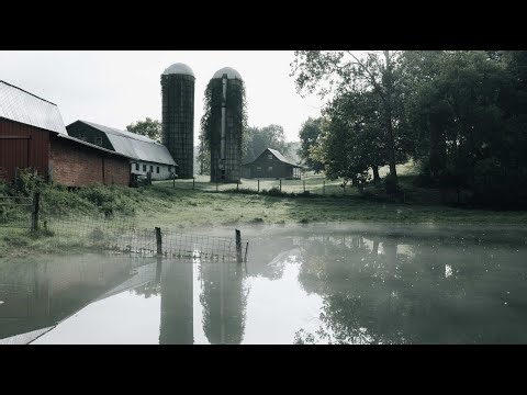 The Story of Simpson Farms, Simpson’s Meats & Walnut Kitchen | Trailer
