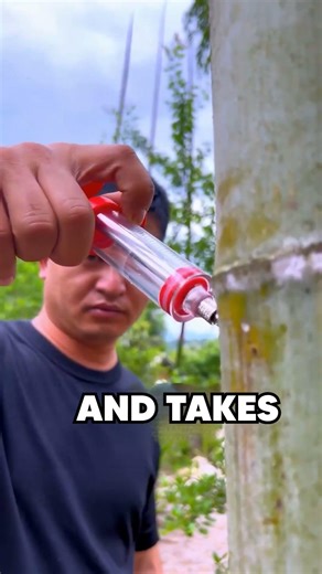 A Forgotten Human Trick That Still Works Today 🧠