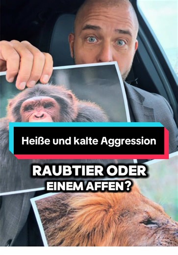 Aggression verstehen: Heiße und kalte Aggression im Fokus