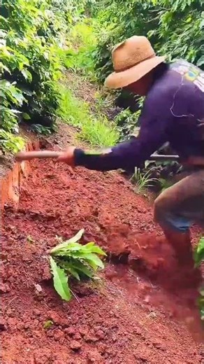 Outdoor Digging and Land Preparation