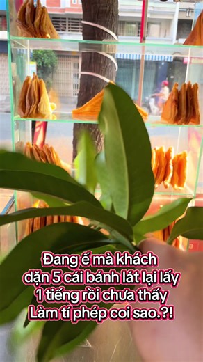 Bánh Lát Khách Chờ 1 Tiếng - Phép Thuật Bánh Ngon