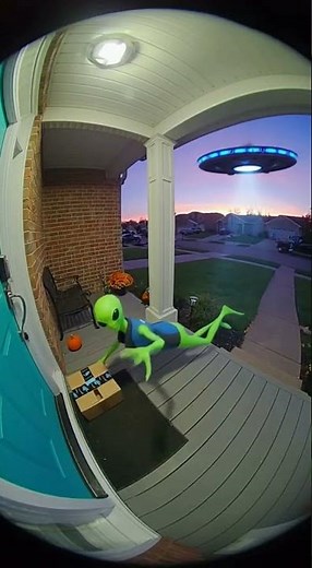 Alien package delivery!??!?!