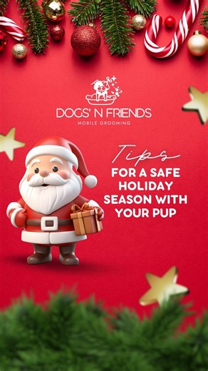 DOGS’ N FRIENDS on Instagram: "🎄🐶 Holiday Safety Tips for Your Pup! Keep lights and décor out of reach, avoid sharing holiday foods, and create a calm space during fireworks. Enjoy a safe and happy Christmas together! Dogs’ N Friends 🐾"
