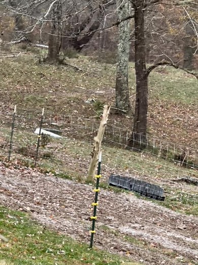 😬 😬 | Linda Rogers