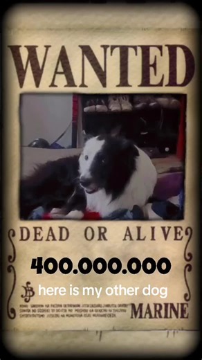 mini neji (@birb_boi_tokoyami)’s videos with Love You So - The King Khan & BBQ Show