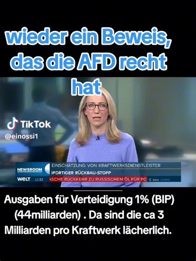 AfD - Kernkraft Report