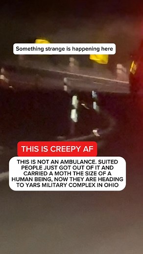 They took the Biggest moth alive. They are taking it to the closest government base #scary | Wout Company