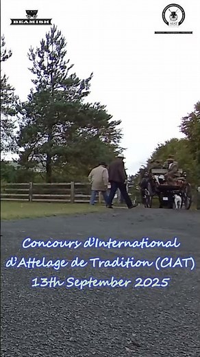 Concours d’International d’Attelage de Tradition (CIAT) 2025 Beamish Museum Clip 22 #horse #shorts