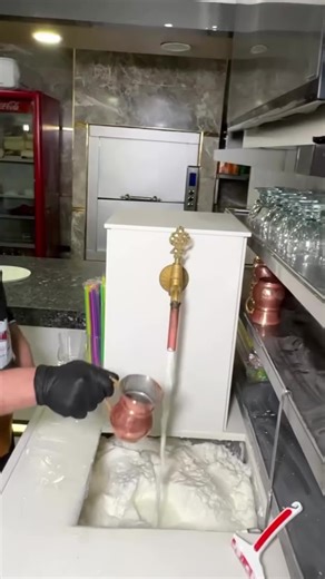 Exploring Village Lifestyle in the United States