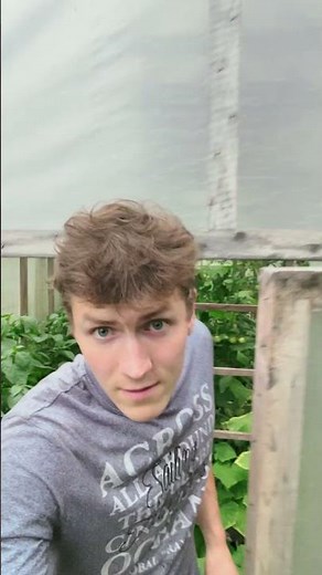 Small Farm Tour #farming