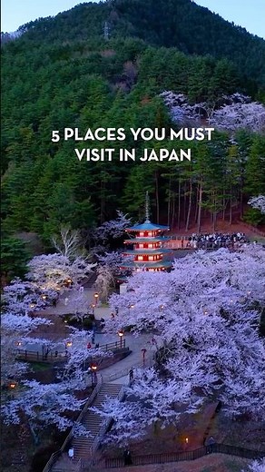 Top 5 Japan Highlights While Cruising