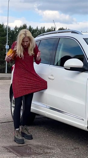 4K views | One Woman’s Brave Move Saves a Driver | Handy Panda | Facebook