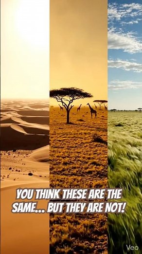 Desert, Savanna, Grassland — same Earth, totally different realities. Which one surprised you most?
