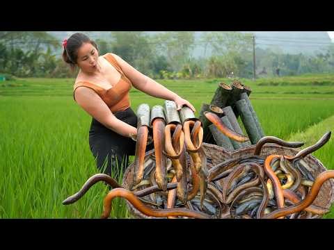 I Left Bamboo Traps Overnight and Found THIS… Monster Eels!