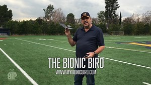 The Bionic Bird – first flight